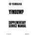 Yamaha ATV YFM80WP Badger Raptor 80 Shop Service Repair Manual